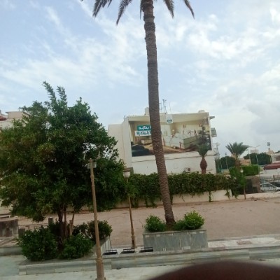 ππ±π»Pacer Run Club 3ππΌββοΈπ Alaeddin Alfagy post image