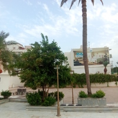 ππ±π»Pacer Run Club 3ππΌββοΈπ Alaeddin Alfagy post image