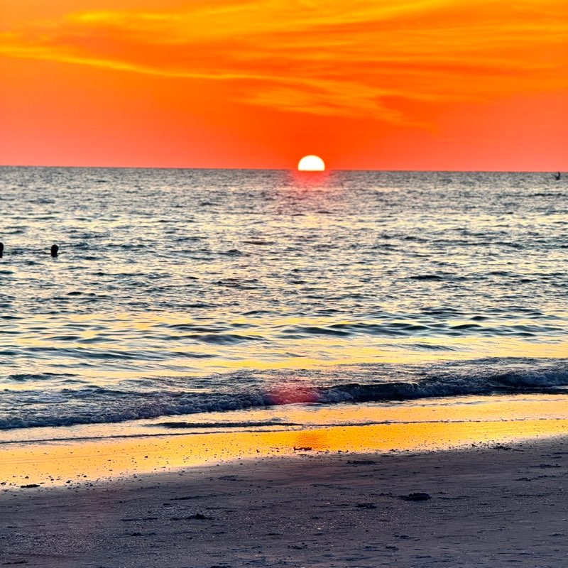 Laura Rogacki-BOE profile