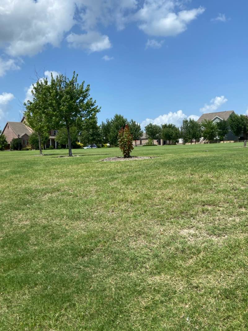 walking near me in Homestead Pavillion Park in summer