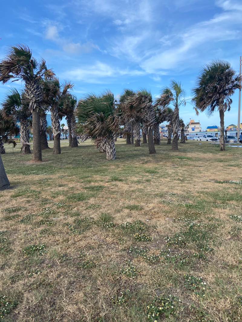 walking near me in Menard Park in summer
