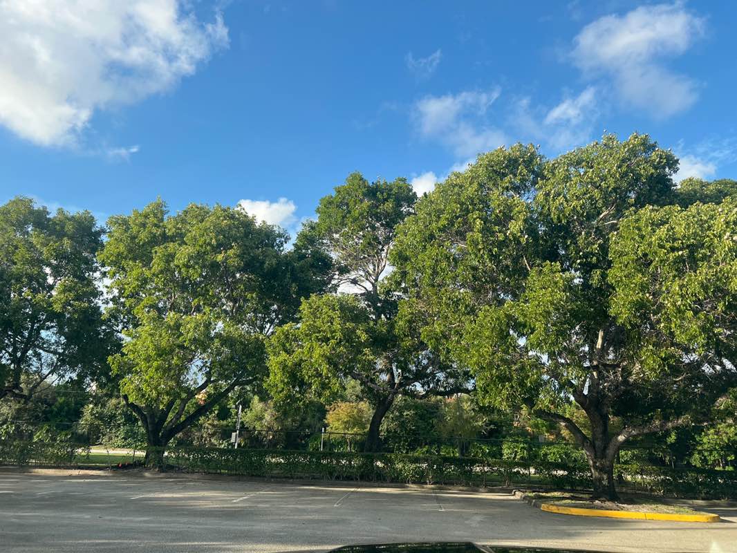 walking near me in Sunset Park in autumn