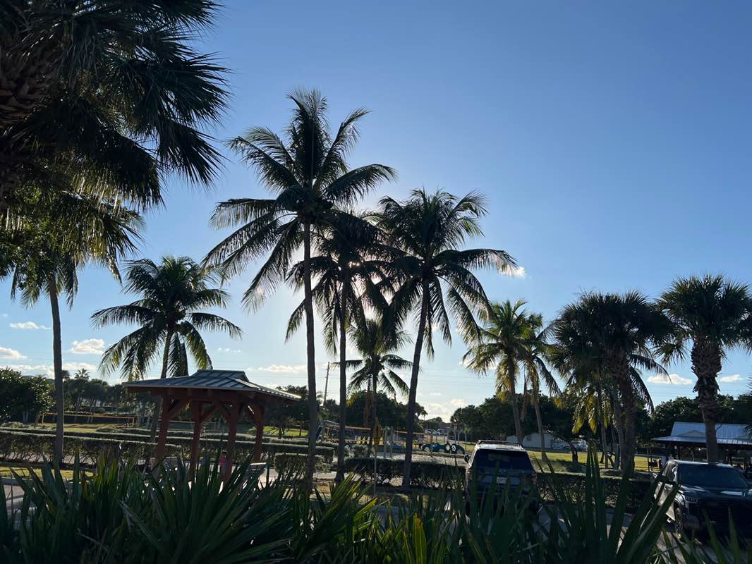 walking near me in Ocean Cay Park in autumn
