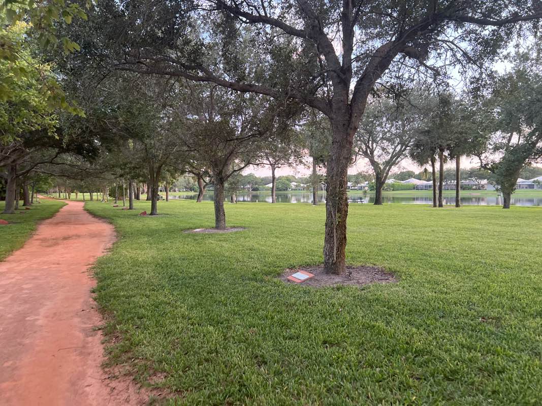 walking near me in Lake Catherine Park in autumn