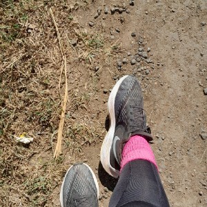 Mwende Kaesa profile