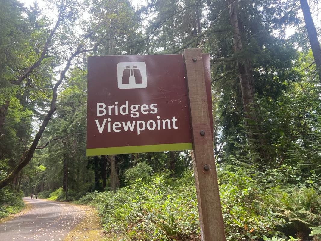 walking near me in Point Defiance Park in summer