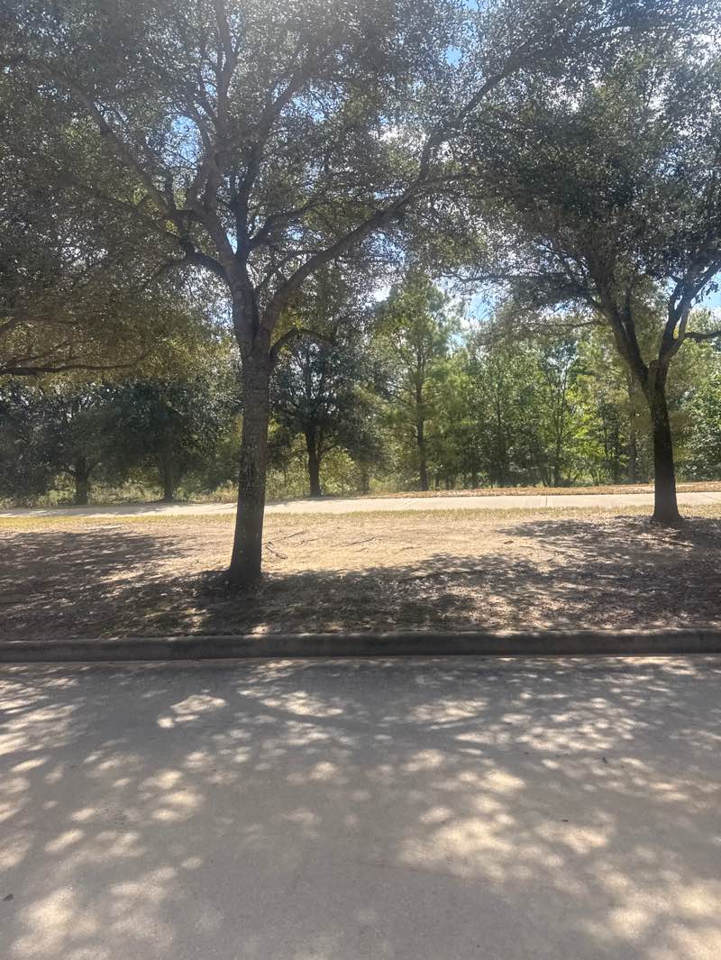 walking near me in Flewellen Creek Park in autumn