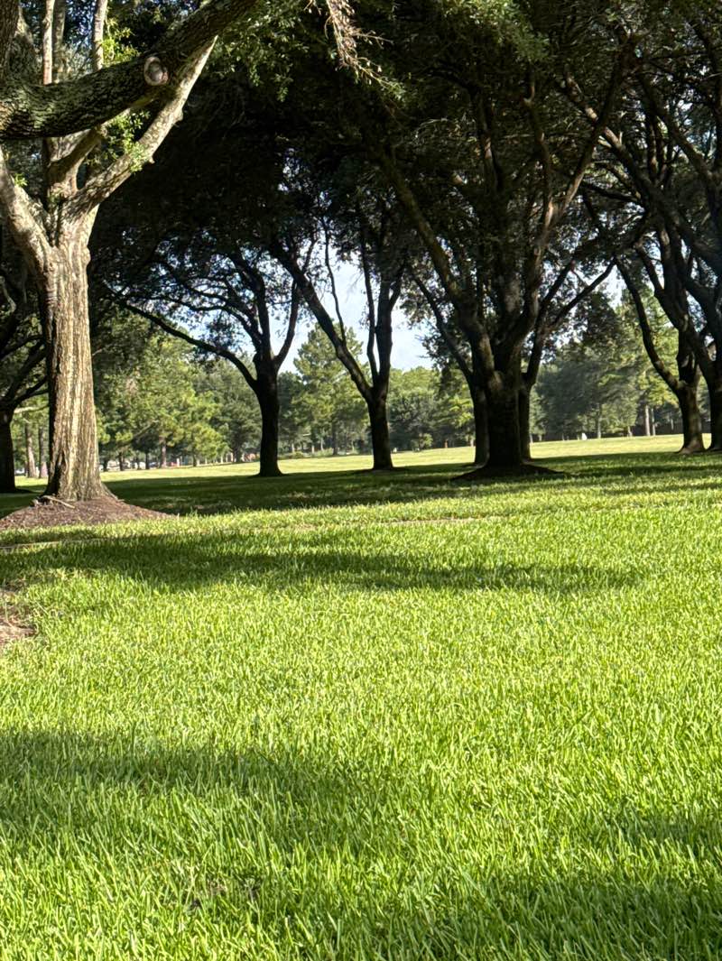 walking near me in Nottingham Country MUD Greenbelt Park in autumn