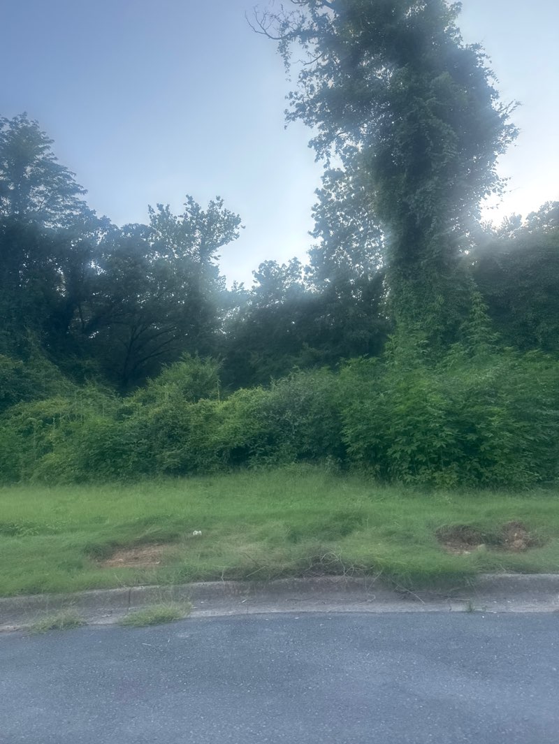 walking near me in Allsopp Park in autumn