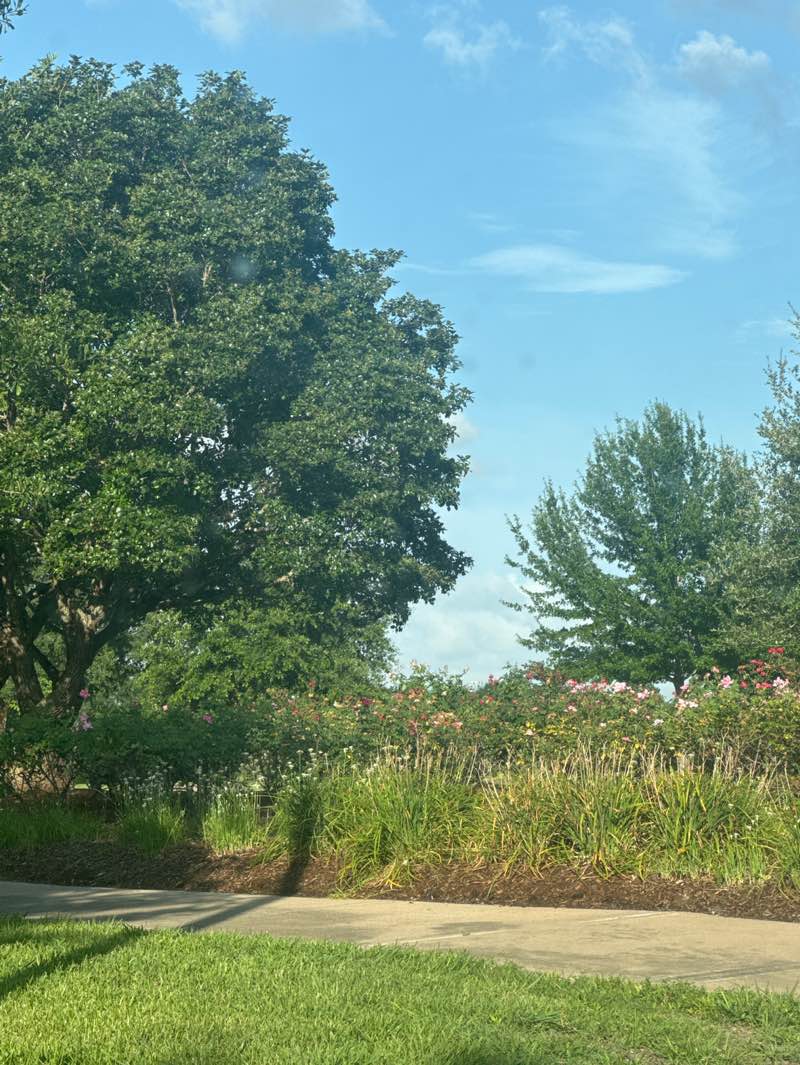 walking near me in Duhacsek Park in summer