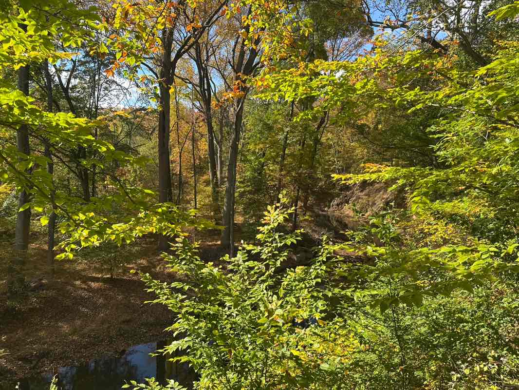walking near me in Smithville Park in autumn