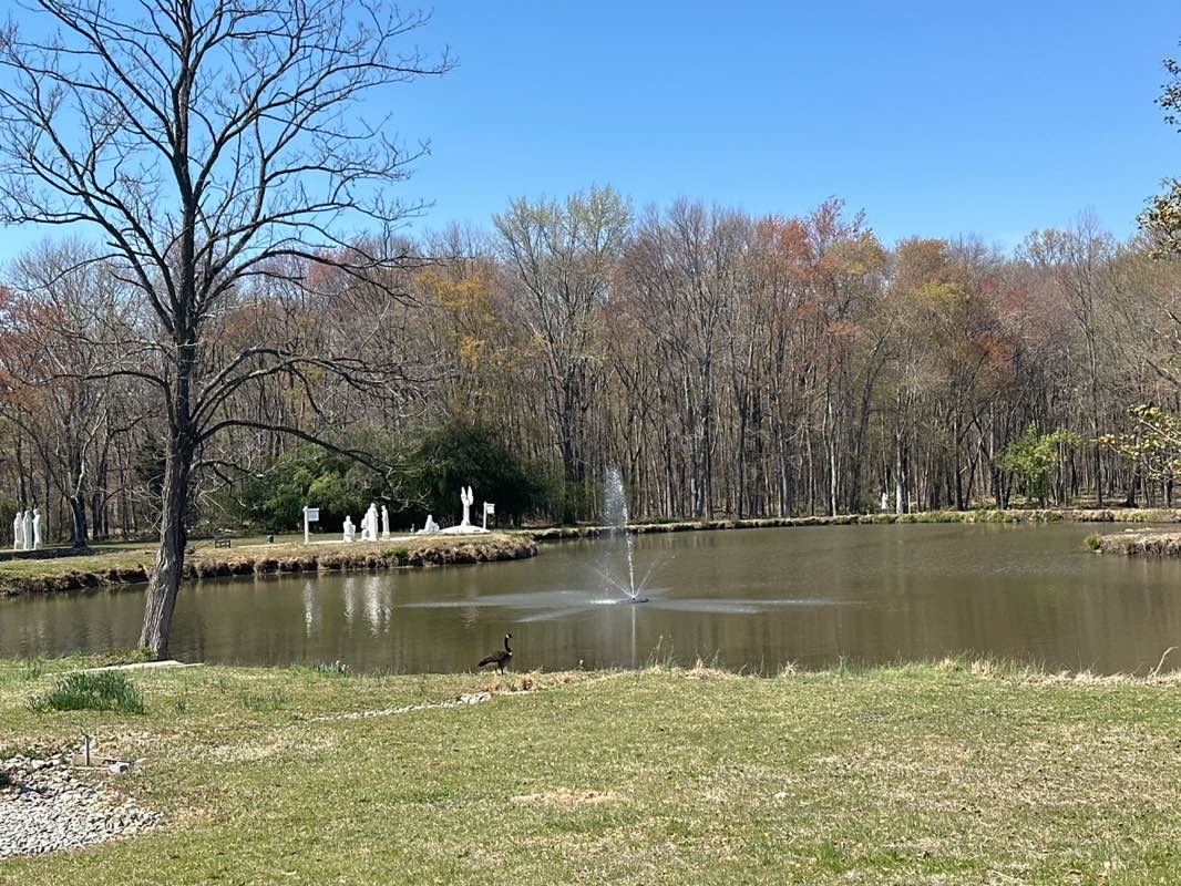 walking near me in St. John Neumann in spring