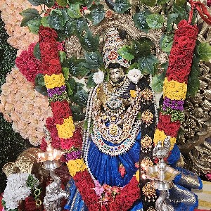 sree vidya icon