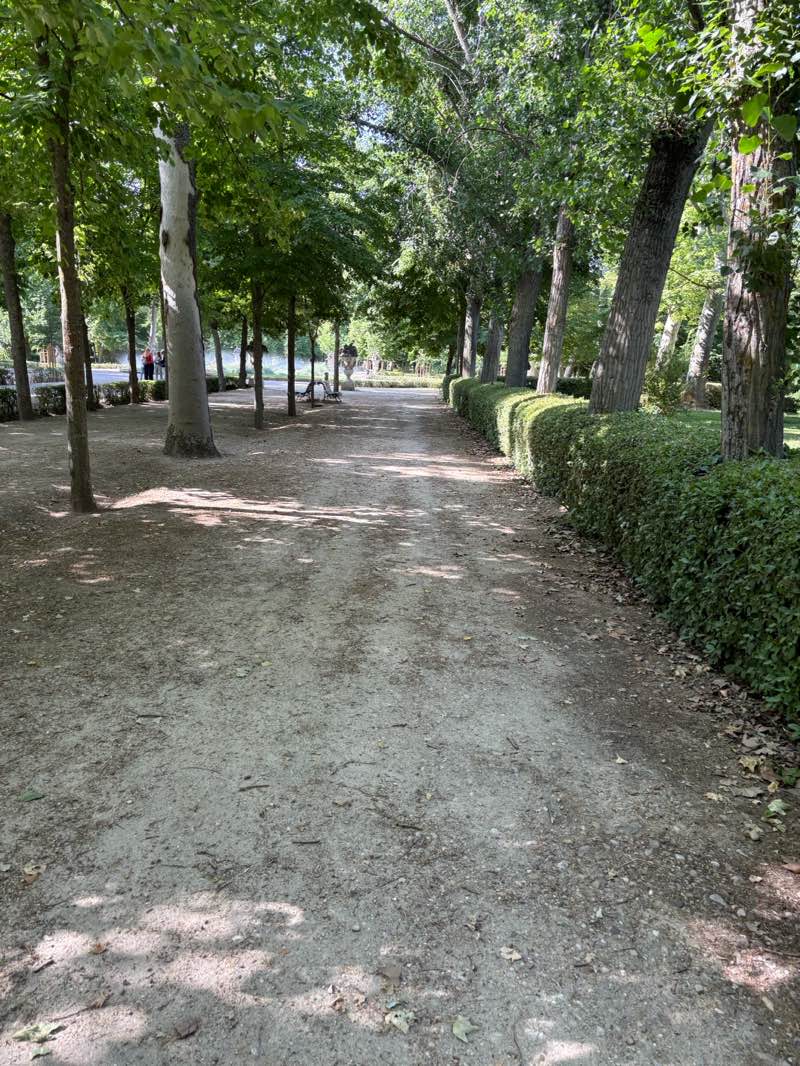 walking near me in Antigua Madre del Tajo in summer