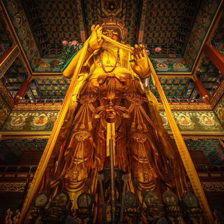 阳光 首信 post 1