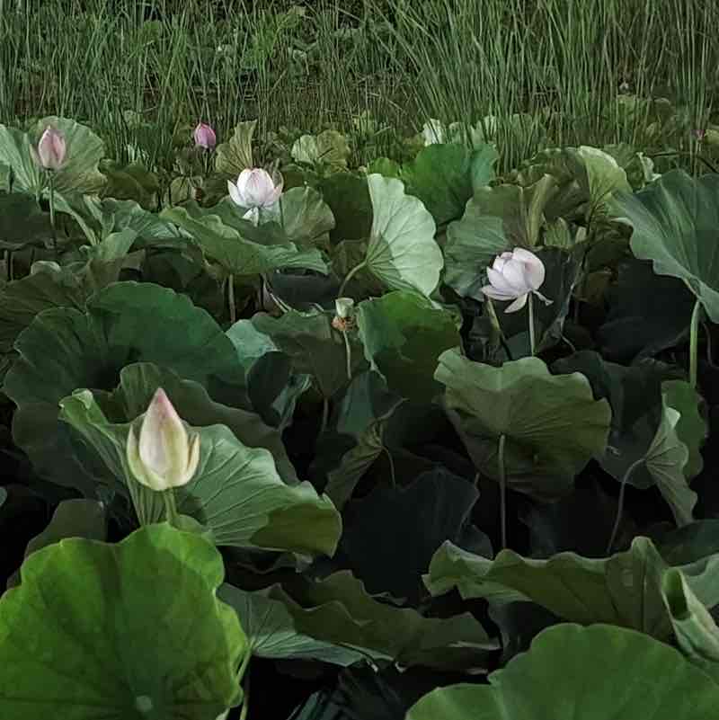 阳光 首信 post 3