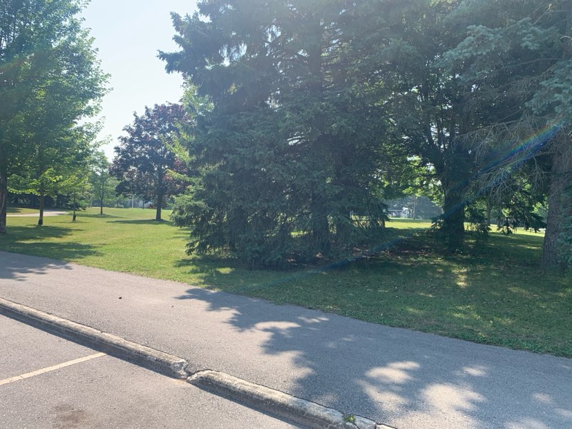 walking near me in Huron Park in summer