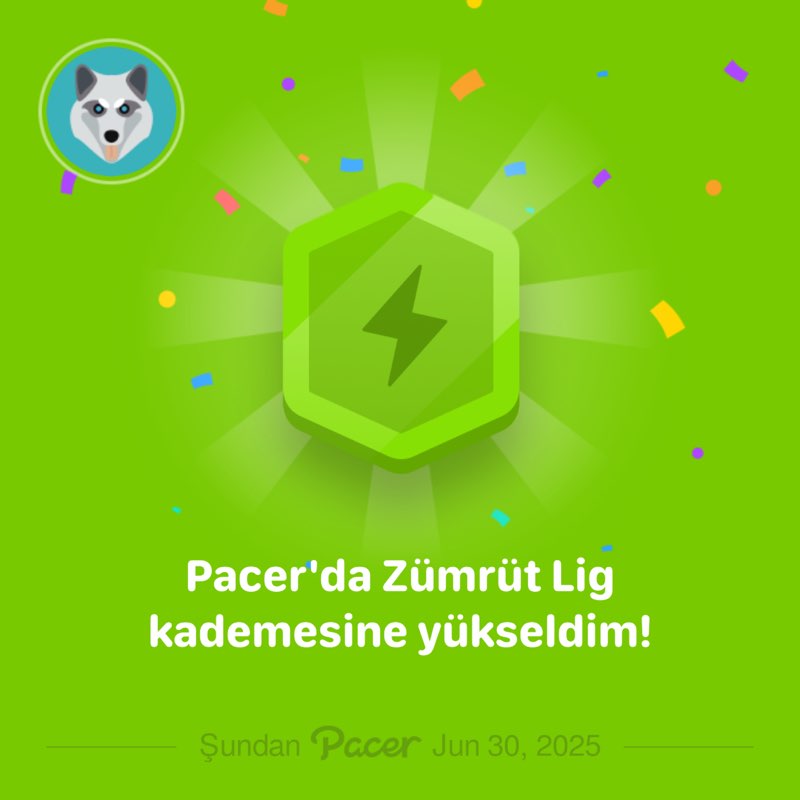 Çağatay Tünk post 1