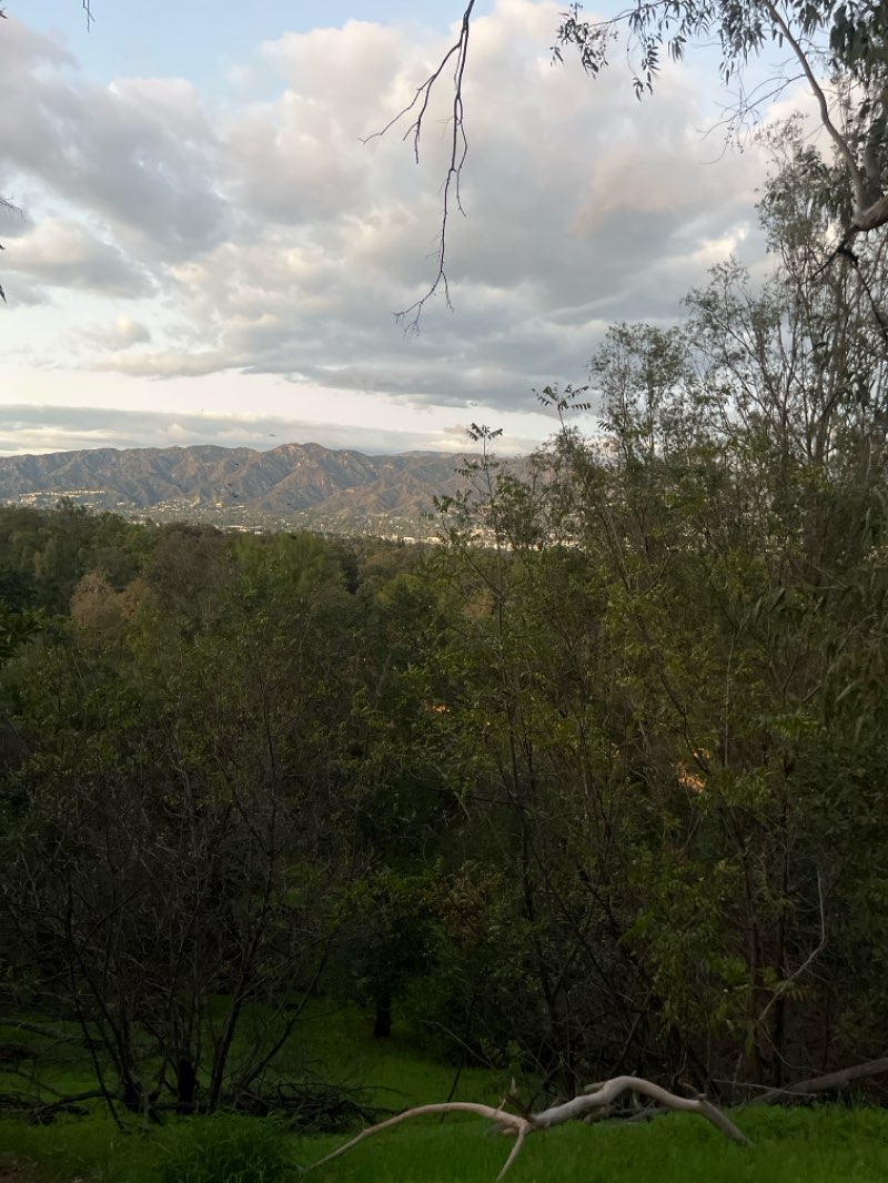 walking near me in Griffith Park in autumn