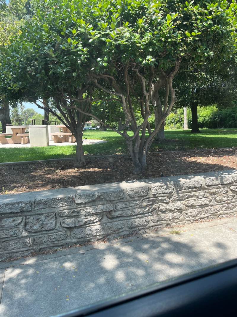 walking near me in Mountain View Park in summer