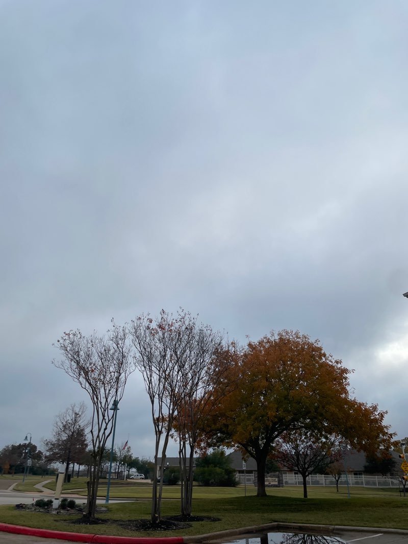 walking near me in Tiffany Park in winter