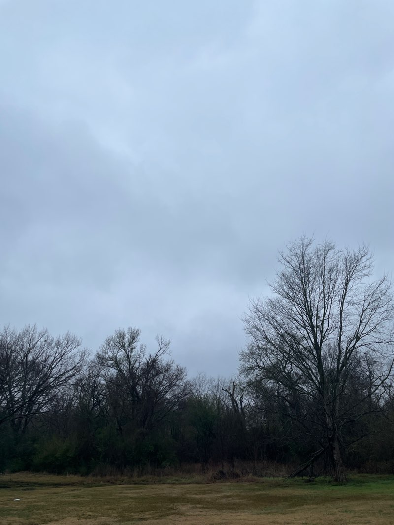 walking near me in Park Hudson in winter