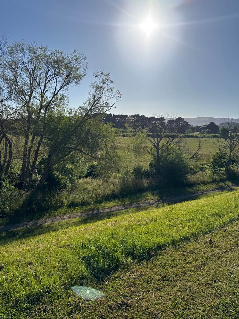 walking near me in Fitzroy Bend Reserve in summer