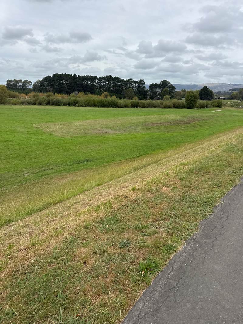 walking near me in Fitzroy Bend Reserve in autumn