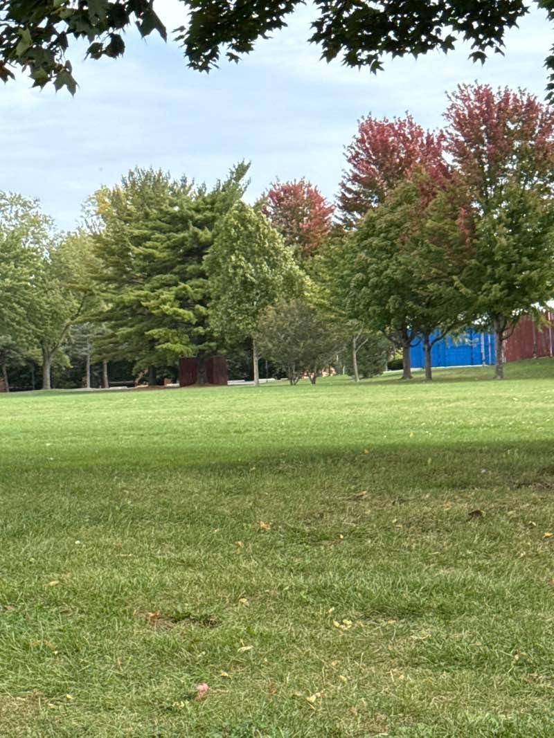 walking near me in Lions Park in autumn