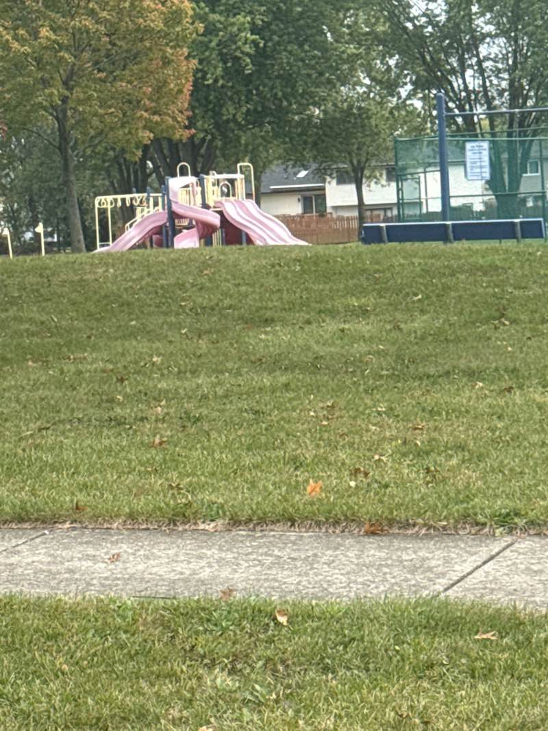 walking near me in Pierce Park in autumn