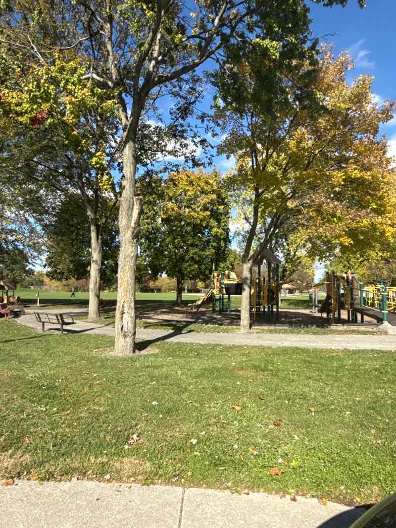 walking near me in Central Park in autumn
