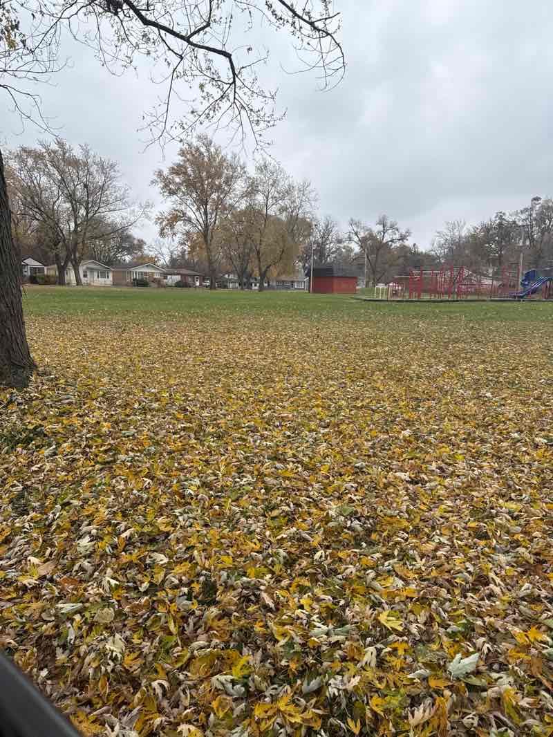 walking near me in Lions Field in autumn