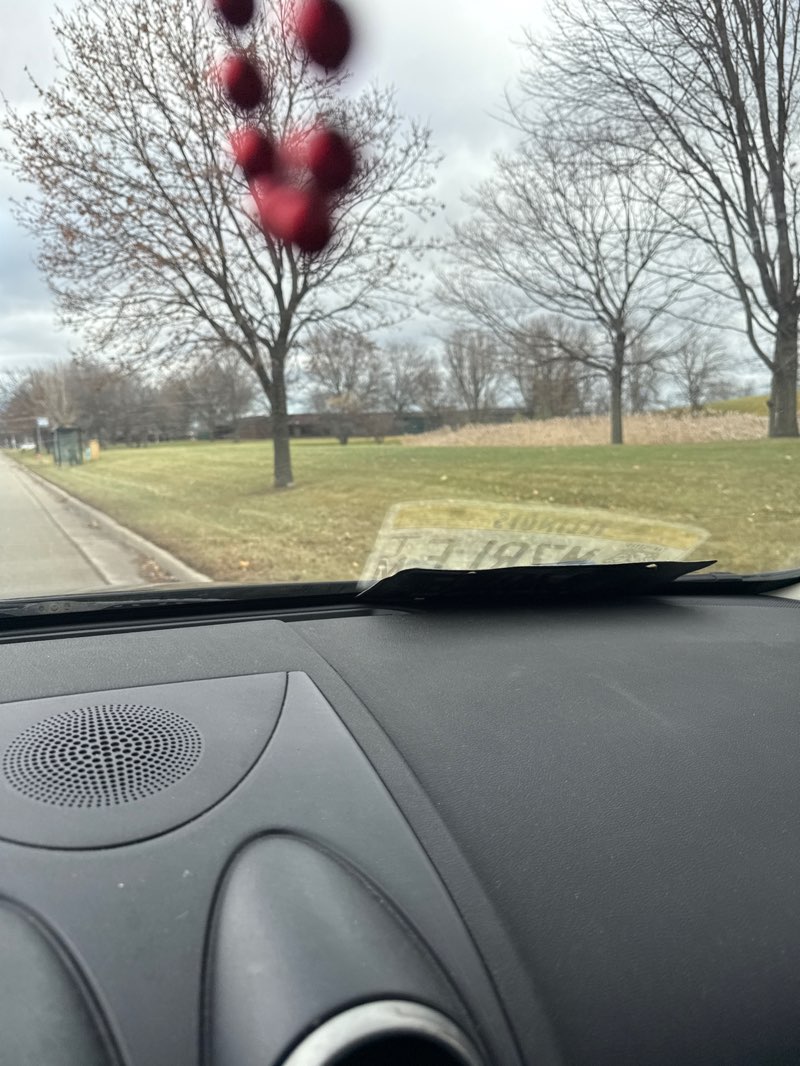 walking near me in Rench Park in autumn