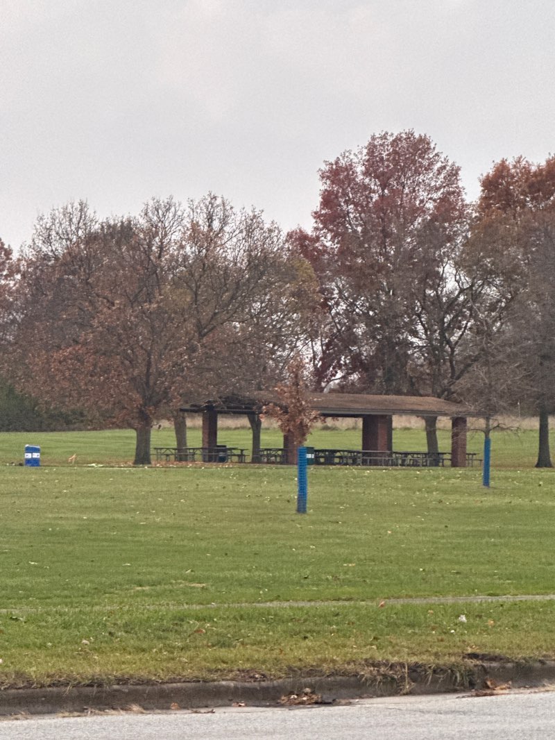 walking near me in Joe Orr Woods in autumn