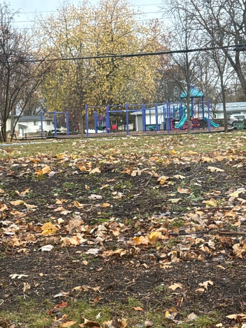 walking near me in Logan Park in autumn