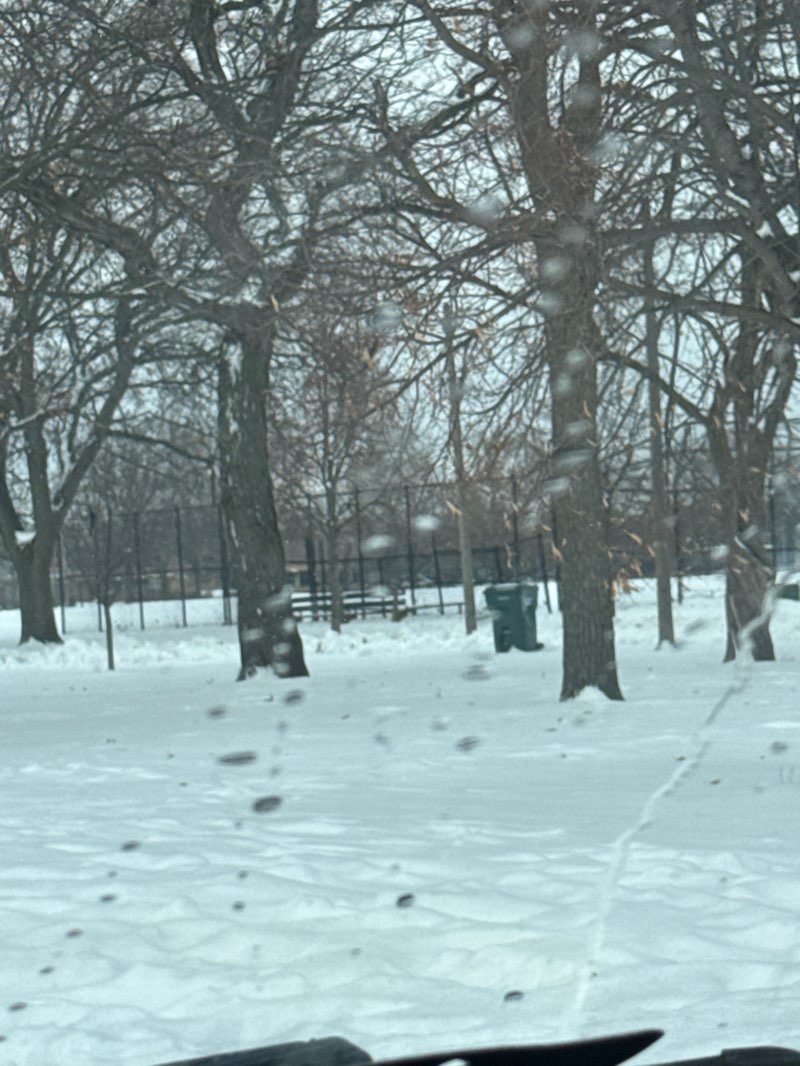 walking near me in Mount Greenwood Park in autumn