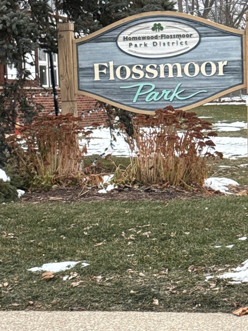 walking near me in Flossmoor Park in winter