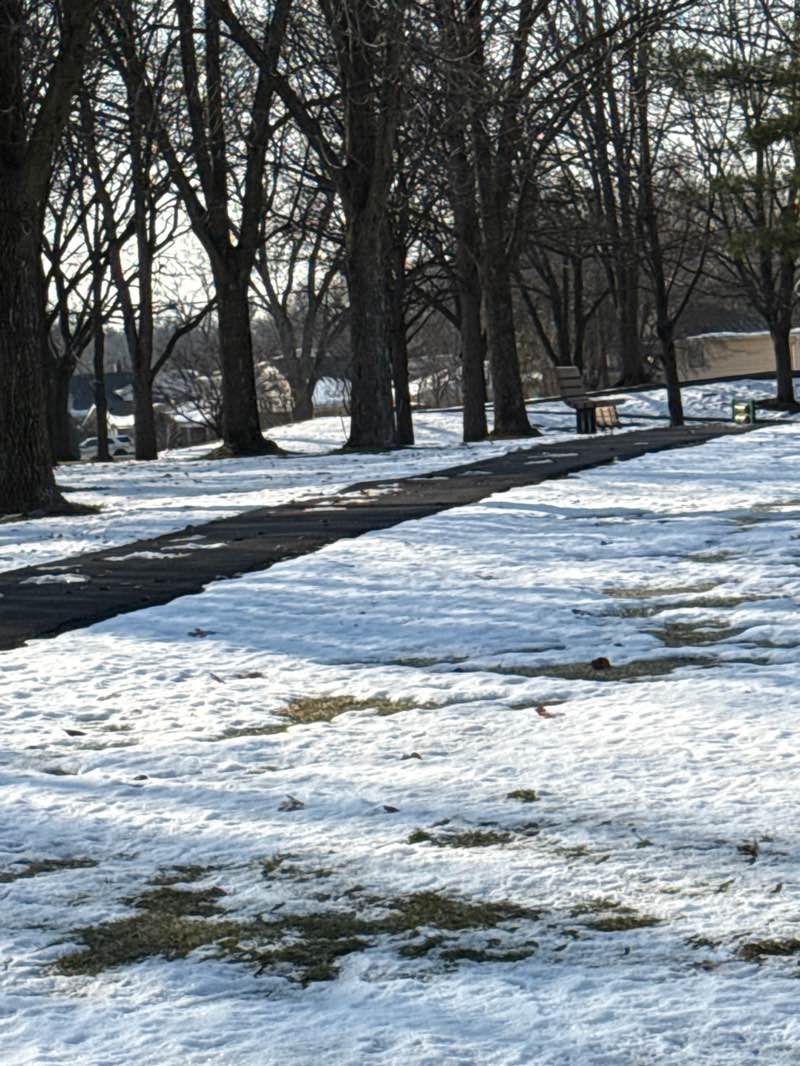 walking near me in Bicentennial Park in winter