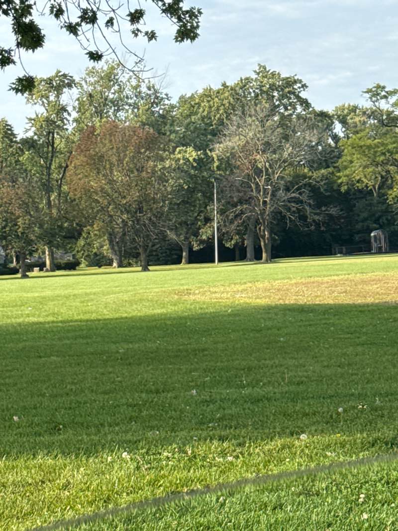 walking near me in Memorial Park in autumn