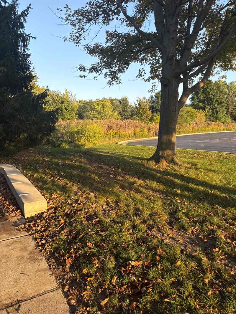 walking near me in Well Park in autumn
