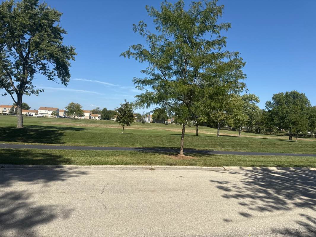 walking near me in Veterans Park in autumn