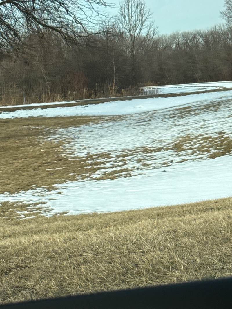 walking near me in Midlothian Meadows in winter