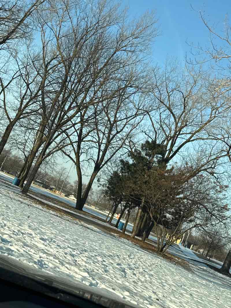 walking near me in Commissioners Park in winter