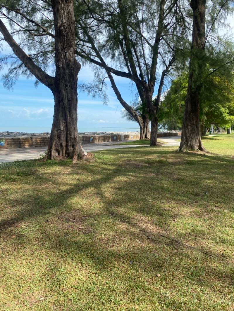 walking near me in Robina Eco Park in autumn