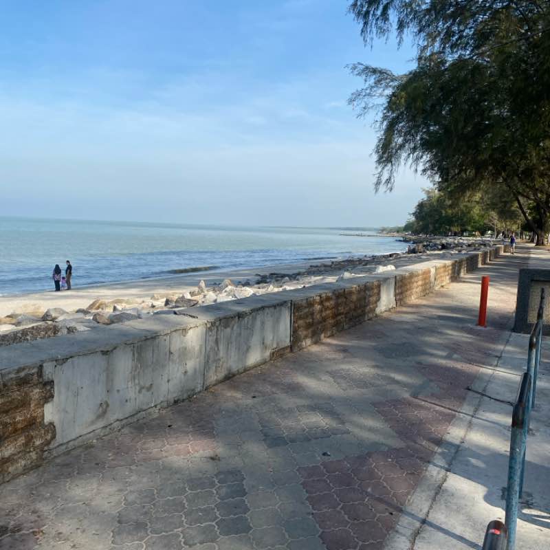 Roslina Hassan post 1