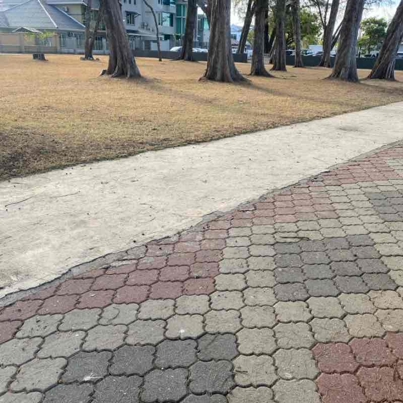 Roslina Hassan post 1