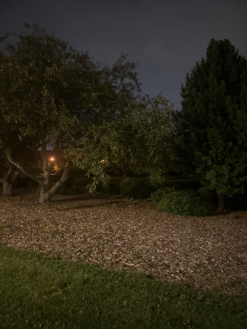 walking near me in The Lawn in autumn