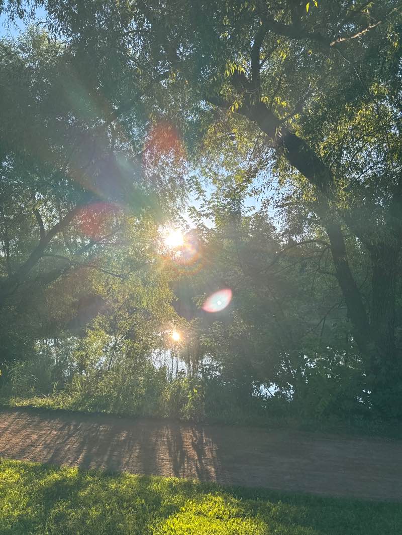 walking near me in Falcon Heights Community Park in autumn