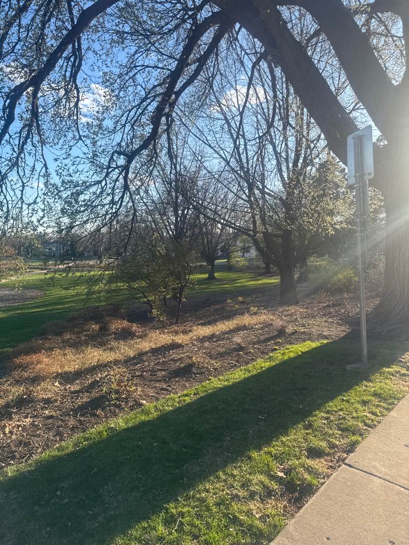 walking near me in The Lawn in spring