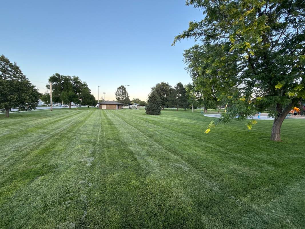 walking near me in Dryden Park in summer